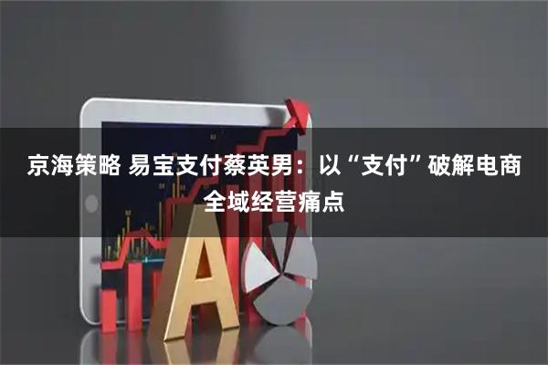 京海策略 易宝支付蔡英男：以“支付”破解电商全域经营痛点