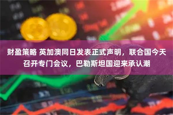 财盈策略 英加澳同日发表正式声明，联合国今天召开专门会议，巴勒斯坦国迎来承认潮