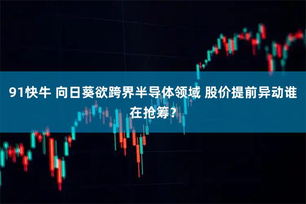 91快牛 向日葵欲跨界半导体领域 股价提前异动谁在抢筹？