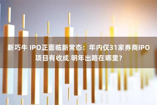 新巧牛 IPO正面临新常态：年内仅31家券商IPO项目有收成 明年出路在哪里？