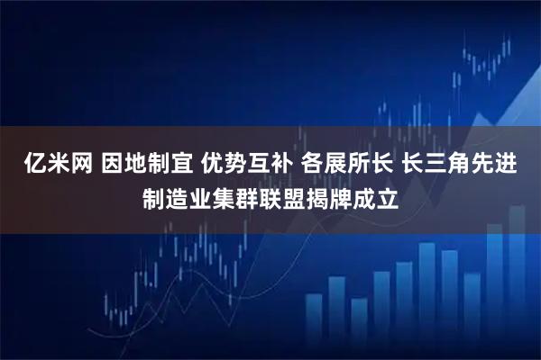 亿米网 因地制宜 优势互补 各展所长 长三角先进制造业集群联盟揭牌成立