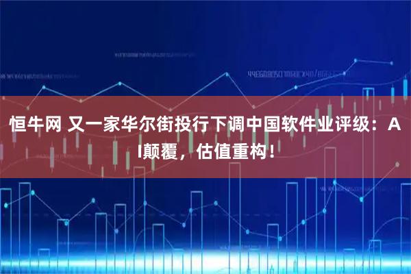 恒牛网 又一家华尔街投行下调中国软件业评级：AI颠覆，估值重构！
