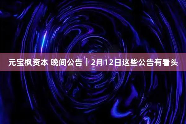 元宝枫资本 晚间公告｜2月12日这些公告有看头