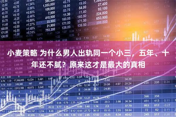 小麦策略 为什么男人出轨同一个小三，五年、十年还不腻？原来这才是最大的真相